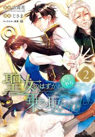 Read Manga I was summoned to be the Saint, but I was robbed the position, apparently