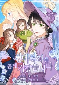 Manga Read I Raised Cinderella Preciously