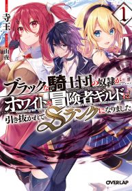 Read Manga The Slave of the “Black Knights” is Recruited by the “White Adventurer’s Guild” as a S Rank Adventurer