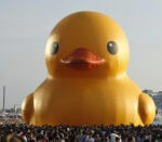 ADuck