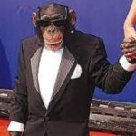 Monke Constellation
