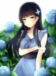 Sankarea