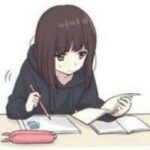 Shiki-S
