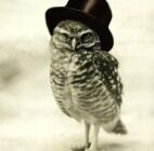 Doppel Strix
