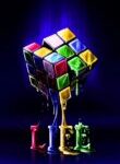 Cuber43