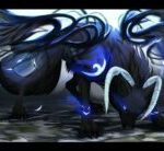 Shadow452