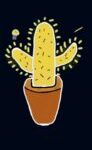 the almighty cactus
