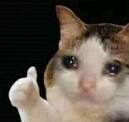 sadguy