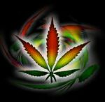 Random Reader 420