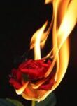 Aesthetic Fire