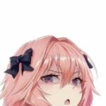 Aricota
