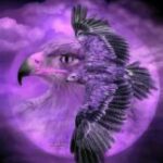 Eagle7