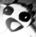 mojjo