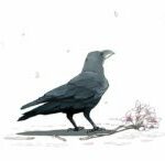 Constellation of Crows