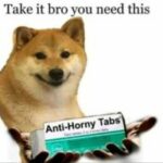 MedicalDoggo