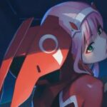 solofranxx