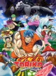 Toriko