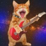 rad cat