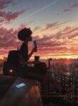 Lone_Traveller_Experiencing_World