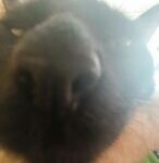 OZY