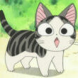 Tilapia cat that can talk