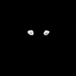 AnonymousCataclysm