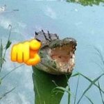 AvalonCaguei