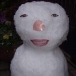 Constellation of Snow and Disappointment