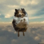 Dog Of Peace