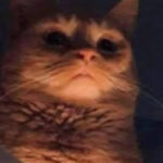 pestopotato