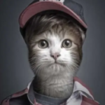 ssswixy