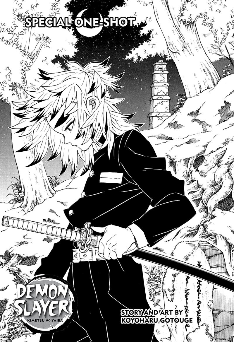 Read Manga Demon Slayer: Kimetsu no Yaiba - Chapter 206 - Read Manga Online - Manga Catalog №1